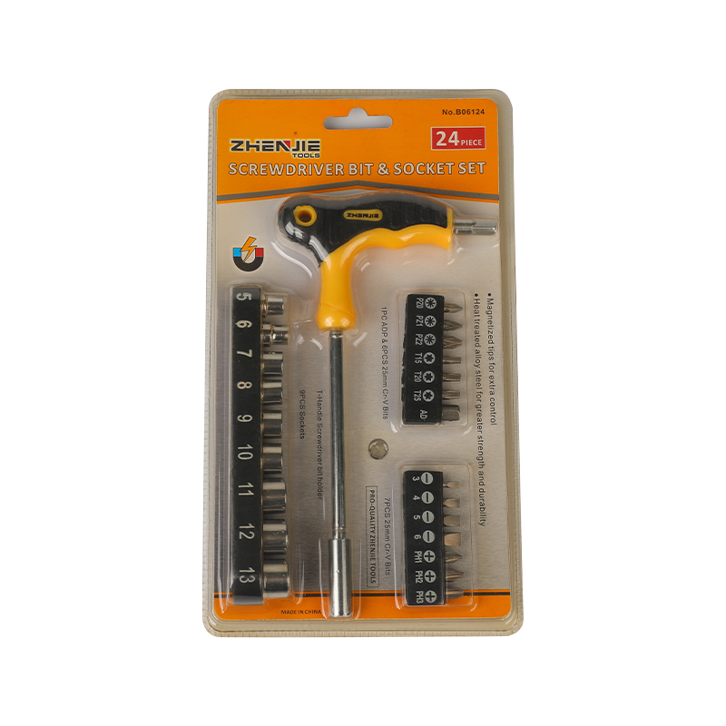 Set bitova Phillips Torx Pozidriv CRV s T-ručkom od 24 komada